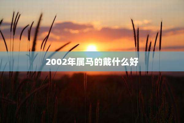 2002年属马的戴什么好