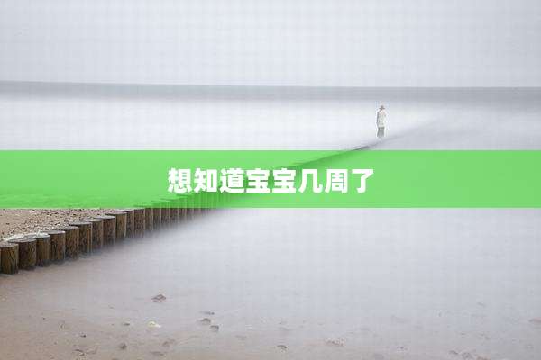 想知道宝宝几周了