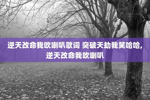 逆天改命我吹喇叭歌词 突破天劫我笑哈哈,逆天改命我吹喇叭