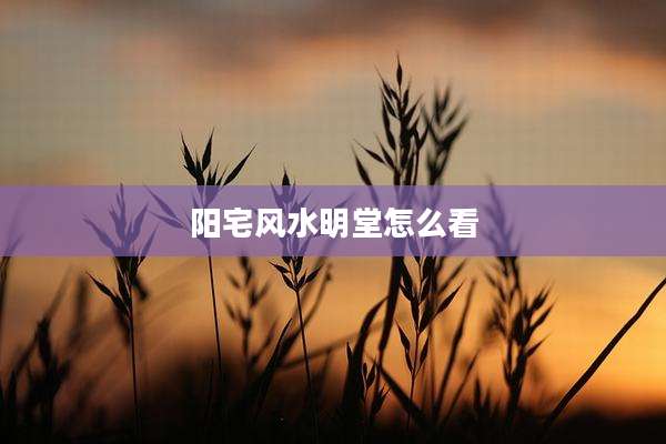 阳宅风水明堂怎么看