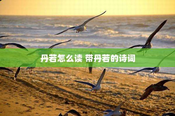 丹若怎么读 带丹若的诗词