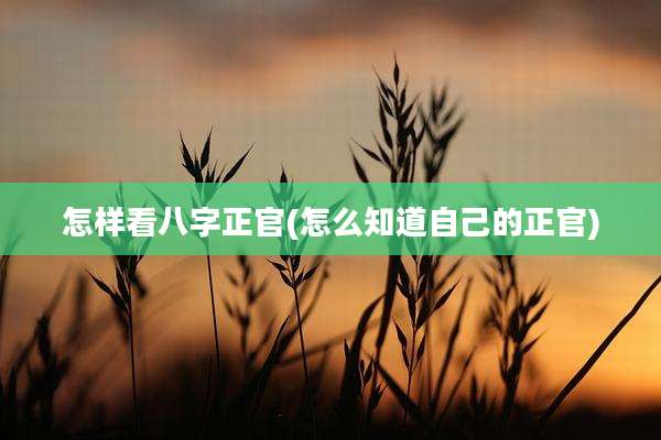 怎样看八字正官(怎么知道自己的正官)