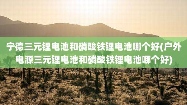 宁德三元锂电池和磷酸铁锂电池哪个好(户外电源三元锂电池和磷酸铁锂电池哪个好)
