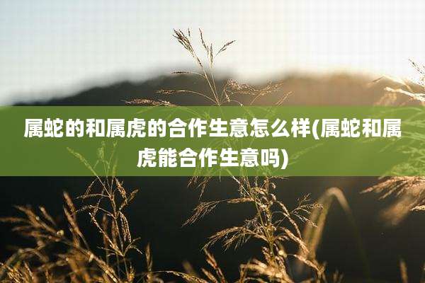 属蛇的和属虎的合作生意怎么样(属蛇和属虎能合作生意吗)