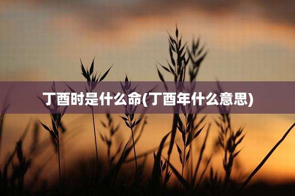 丁酉时是什么命(丁酉年什么意思)