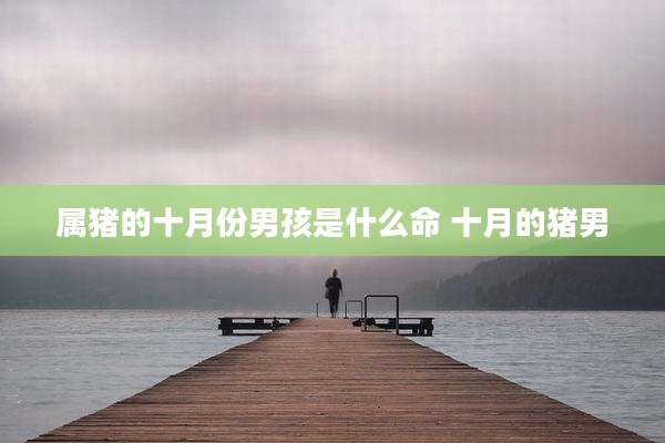 属猪的十月份男孩是什么命 十月的猪男