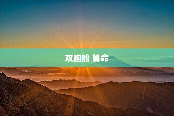 双胞胎 算命