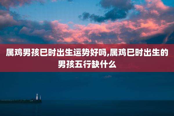 属鸡男孩巳时出生运势好吗,属鸡巳时出生的男孩五行缺什么