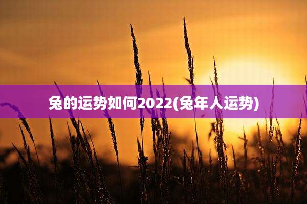 兔的运势如何2022(兔年人运势)