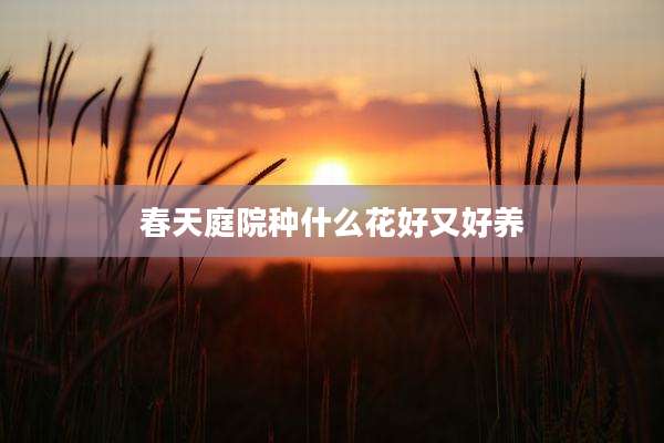 春天庭院种什么花好又好养