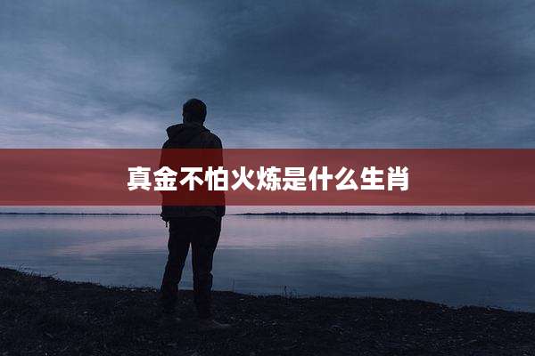 真金不怕火炼是什么生肖