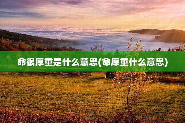 命很厚重是什么意思(命厚重什么意思)