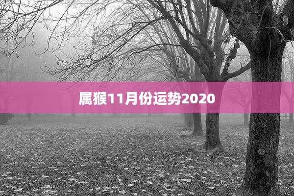 属猴11月份运势2020
