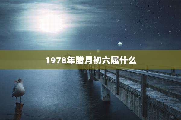 1978年腊月初六属什么