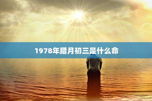 1978年腊月初三是什么命