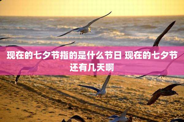 现在的七夕节指的是什么节日 现在的七夕节还有几天啊