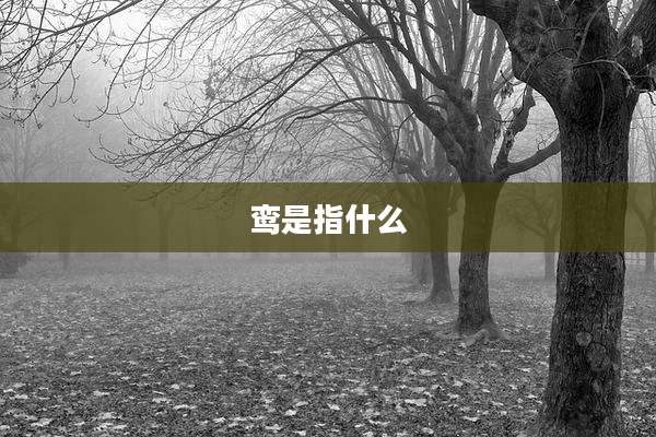 鸾是指什么