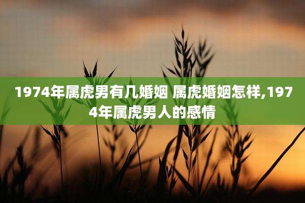 1974年属虎男有几婚姻 属虎婚姻怎样,1974年属虎男人的感情
