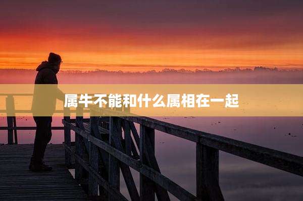属牛不能和什么属相在一起