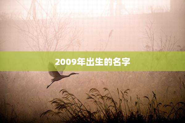 2009年出生的名字