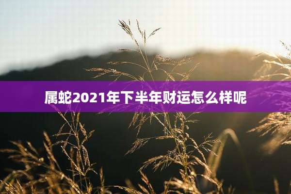 属蛇2021年下半年财运怎么样呢