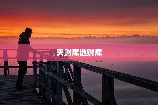 天财库地财库