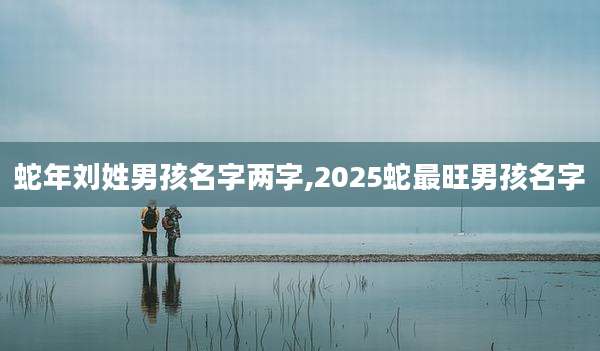 蛇年刘姓男孩名字两字,2025蛇最旺男孩名字