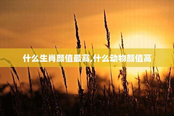 什么生肖颜值最高,什么动物颜值高