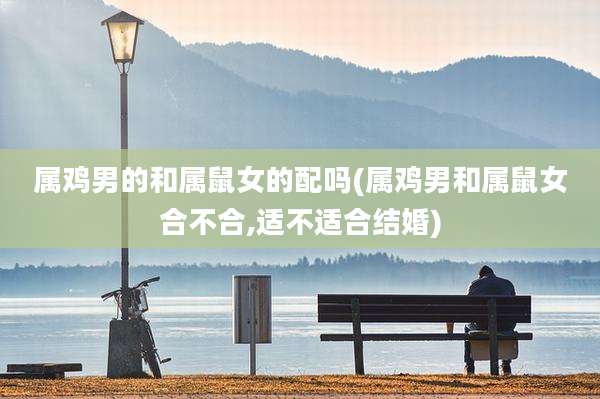 属鸡男的和属鼠女的配吗(属鸡男和属鼠女合不合,适不适合结婚)