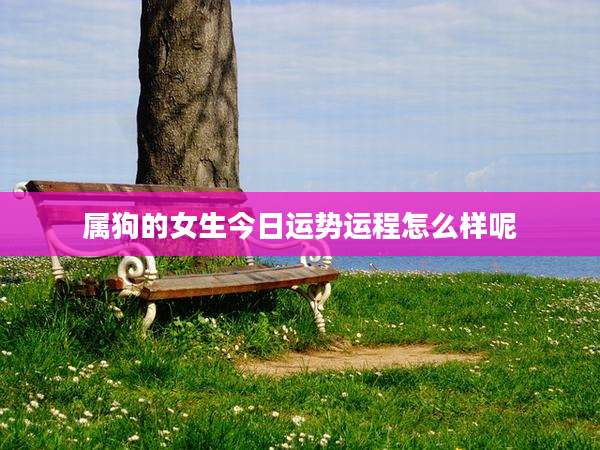 属狗的女生今日运势运程怎么样呢