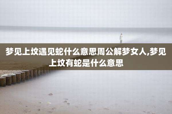 梦见上坟遇见蛇什么意思周公解梦女人,梦见上坟有蛇是什么意思