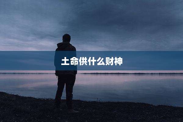 土命供什么财神