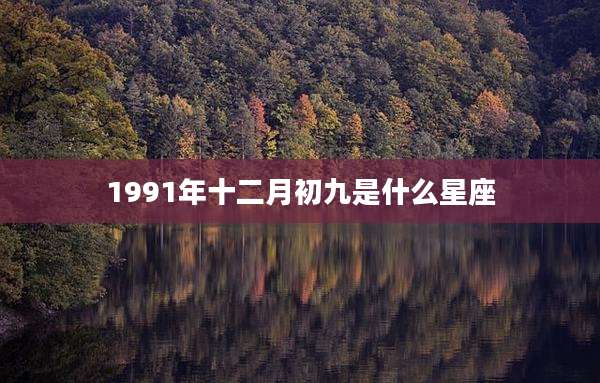 1991年十二月初九是什么星座