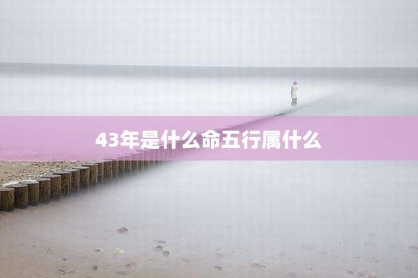 43年是什么命五行属什么