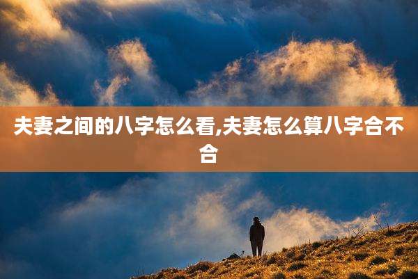 夫妻之间的八字怎么看,夫妻怎么算八字合不合