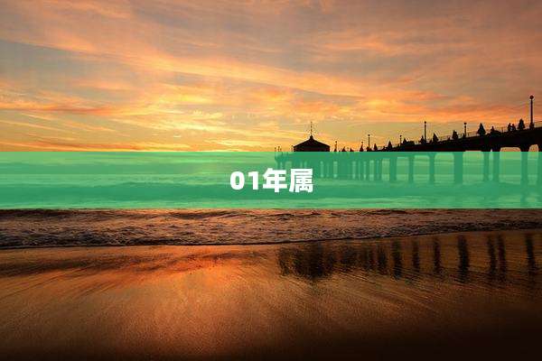 01年属