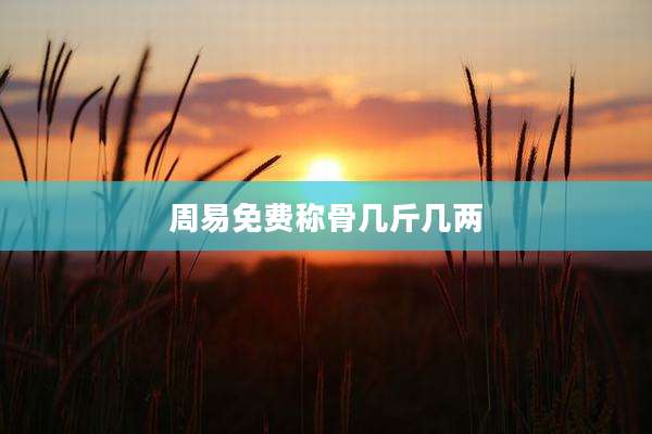 周易免费称骨几斤几两