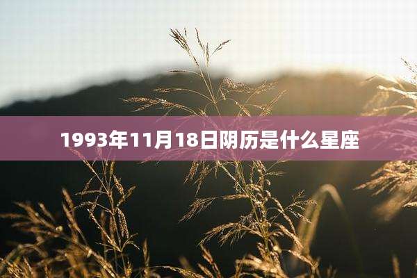 1993年11月18日阴历是什么星座