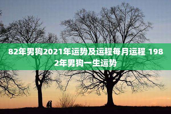 82年男狗2021年运势及运程每月运程 1982年男狗一生运势