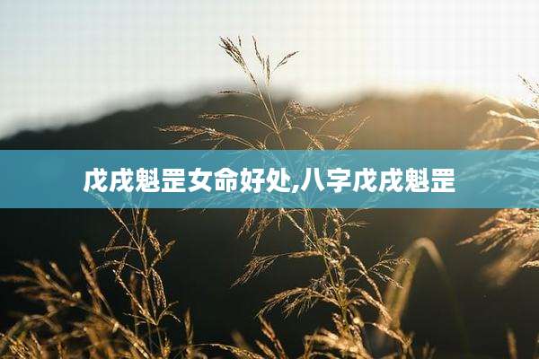 戊戌魁罡女命好处,八字戊戌魁罡