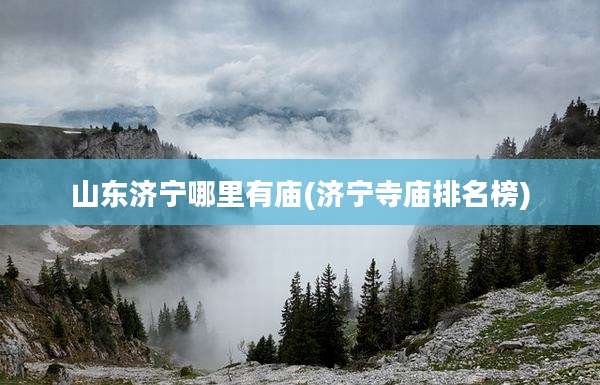 山东济宁哪里有庙(济宁寺庙排名榜)