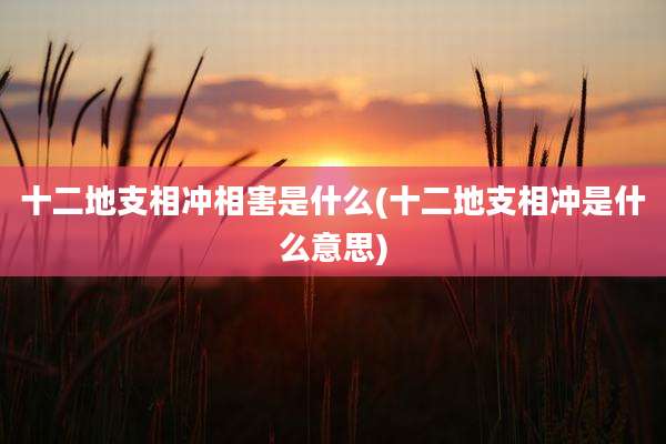 十二地支相冲相害是什么(十二地支相冲是什么意思)