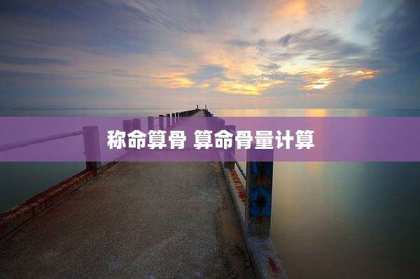 称命算骨 算命骨量计算