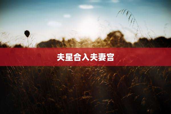 夫星合入夫妻宫