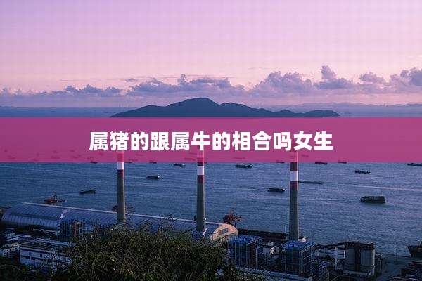 属猪的跟属牛的相合吗女生