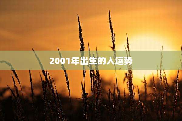 2001年出生的人运势
