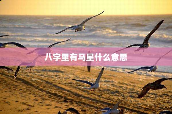 八字里有马星什么意思