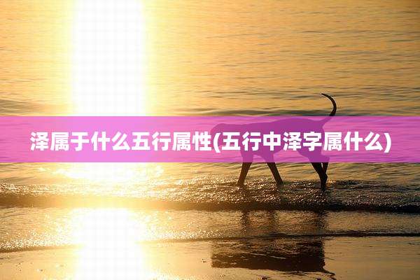 泽属于什么五行属性(五行中泽字属什么)