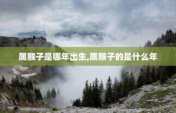 属猴子是哪年出生,属猴子的是什么年