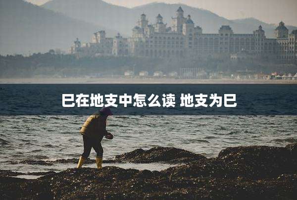 巳在地支中怎么读 地支为巳